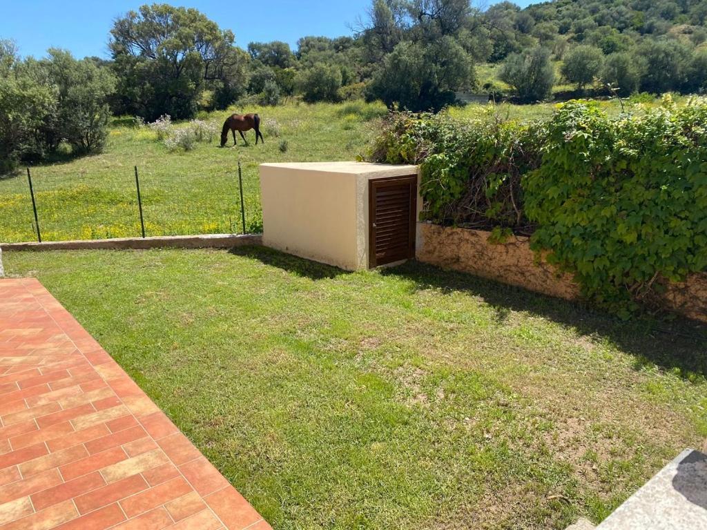 Villino La Funtana Villa Сан Теодоро Екстериор снимка